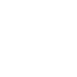 QR Pandape Domina